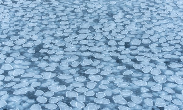 Sea Ice, photo taken by Olaf Schneider, Norwegian Polar Institute, Norway