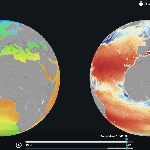 CfS - Compare Globe.png