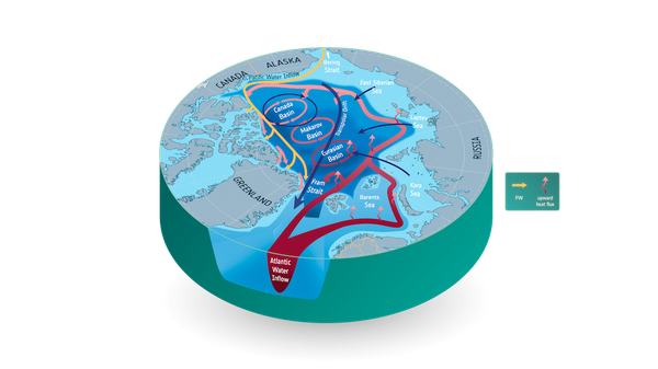 Circulation of the surface water (blue), intermediate Pacific Water (pink/blue), and Atlantic Water (red) of the Arctic Ocean. Adapted from Carmark et al (2015)