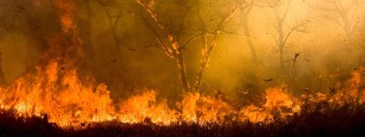 Fire_400.jpg