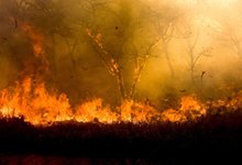 Fire_400.jpg