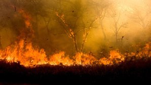 Fire_400.jpg