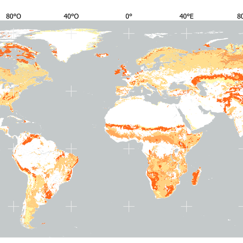 Global distribution of natural grasses Plant Functional Type