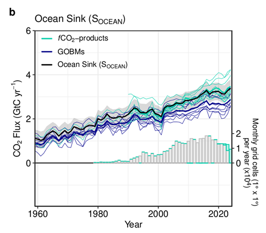 This figure shows the increasing uptake of CO2 by the oceans as reported (Figure 10 from the Global Carbon Budget).