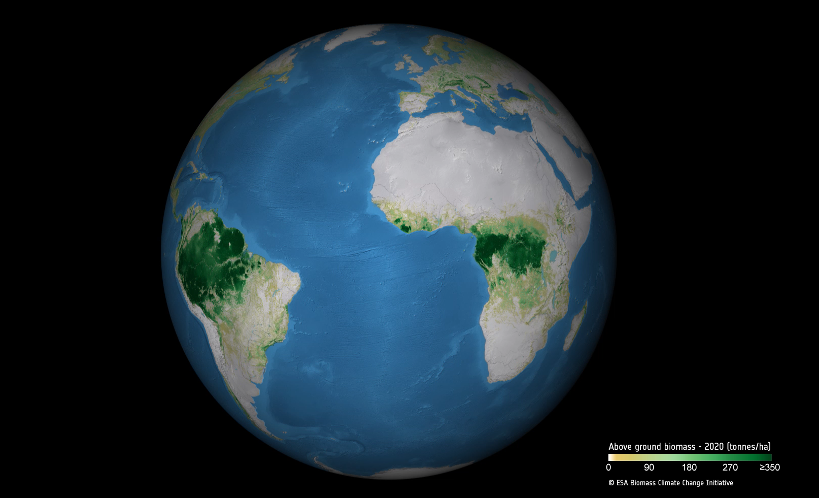 Global above-ground biomass in 2020 (tonnes/ha)