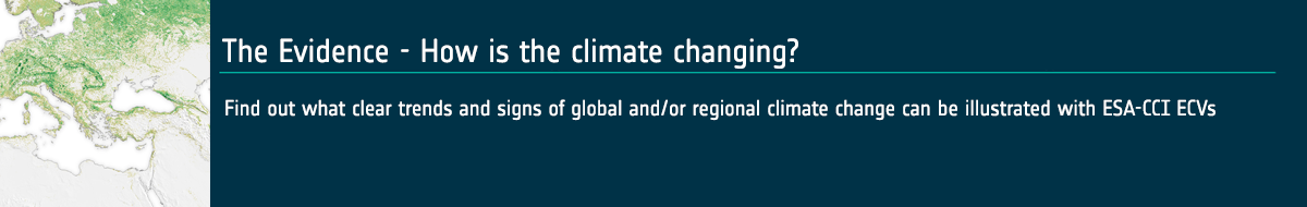 The Evidence Webinar category banner