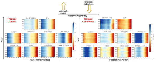 Year-to-year variability of the Total Column Water Vapour sorted according to large-scale dynamics (atmospheric vertical velocity w at 500 hPa) for the ESA CCI CDR-2, ERA5, seven CMIP6 climate models and their ensemble mean.