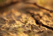 pexels-george-becker-141489